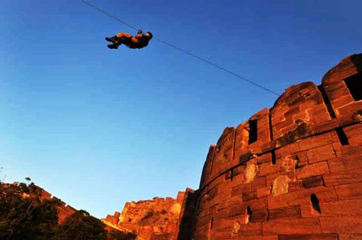 2. Jodhpur Flying Fox